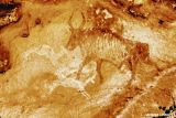 Tassili n'Ajjer : faune