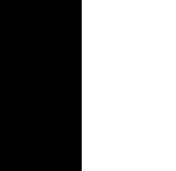 image en Noir et Blanc 1 bit