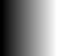 image en niveaux de gris 8 bits